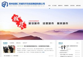 安顺市城市开发投资集团有限公司