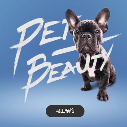 安顺市宠物中心小程序开发